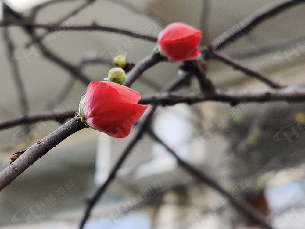 桂林鴻程花團(tuán)錦簇，滿園春色，邀您一起共賞春景，共商大計(jì)！