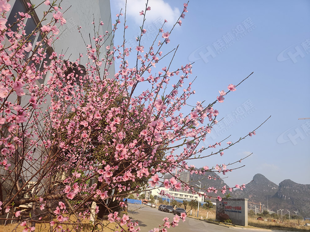 桂林鴻程花團(tuán)錦簇，滿園春色，邀您一起共賞春景，共商大計(jì)！